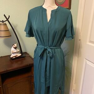 Ann Taylor Hunter green Sleeve Dress